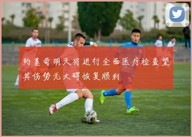 约基奇明天将进行全面医疗检查望其伤势无大碍恢复顺利