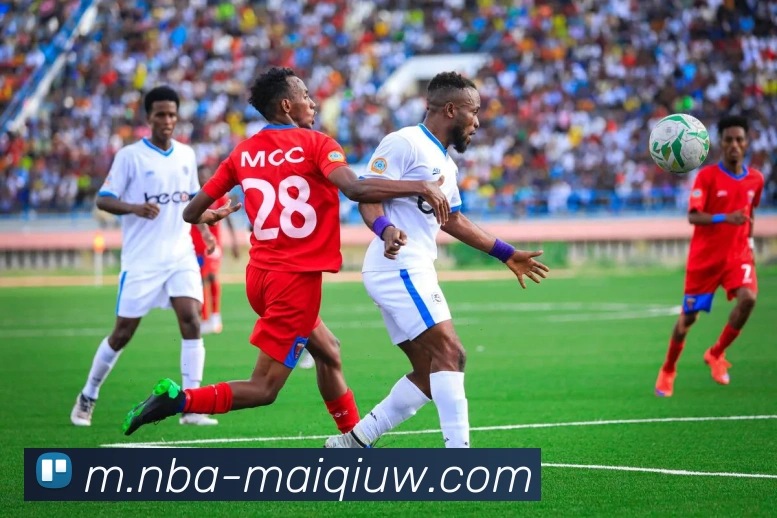 NBA买球网站平台生态图